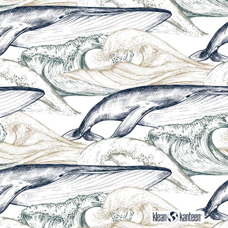 20oz-tkwide-with-twist-cap-ocean-day-h2 20oz_tkwide_bottle_seasonal_ocean_day_whale_artwork_square.png