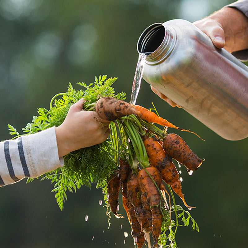 64oz-wide-with-loop-cap-z1 64oz_wide_mouth_bottle_carrots_rinse_square.jpg